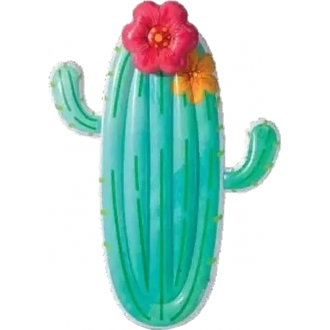 Надувной матрас для плавания INTEX "КАКТУС" 180х130х28с м, до 100 кг 58793